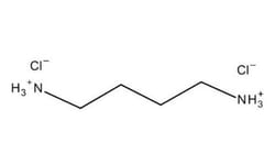 1,4-Diaminobutane Dihydrochloride, Sigma-Aldrich 25 g | Buy Online | Sigma Aldrich | Fisher Scientific