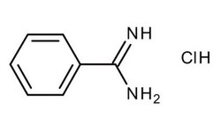 Benzamidine Hydrochloride Hydrate, Sigma-Aldrich 25 g | Buy Online | Sigma Aldrich | Fisher Scientific