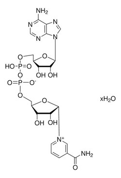 Nicotinamide Adenine Dinucleotide Free Acid, Millipore 1 g | Buy Online | Millipore | Fisher Scientific