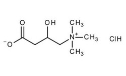dl-Carnitine Hydrochloride, Sigma-Aldrich 25 g | Buy Online | Sigma Aldrich | Fisher Scientific
