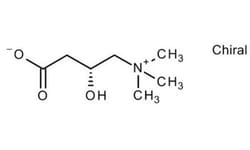 l-Carnitine, Sigma-Aldrich 25 g | Buy Online | Sigma Aldrich | Fisher Scientific