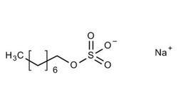 Octyl Sulfate Sodium Salt, Sigma-Aldrich 5 g | Buy Online | Sigma Aldrich | Fisher Scientific