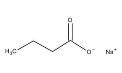 Sodium Butyrate, Sigma-Aldrich 100 g | Buy Online | Sigma Aldrich | Fisher Scientific