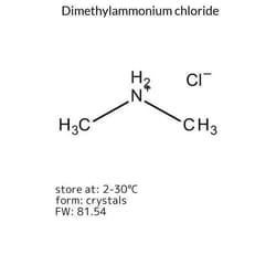 Dimethylammonium Chloride, Sigma-Aldrich 250 g | Buy Online | Sigma Aldrich | Fisher Scientific