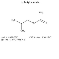 Isobutyl Acetate, Sigma-Aldrich 100 mL | Buy Online | Sigma Aldrich | Fisher Scientific