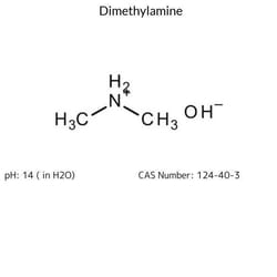 Dimethylamine, Sigma-Aldrich 2.5 L | Buy Online | Sigma Aldrich | Fisher Scientific