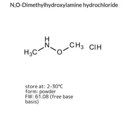 N,O-Dimethylhydroxylamine Hydrochloride, Sigma-Aldrich 10 g | Buy Online | Sigma Aldrich | Fisher Scientific