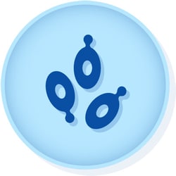 Microbiologics™ <i>Saccharomyces cerevisiae</i> ATCC™ 9763 EZ-Accu Shot™ Kit†