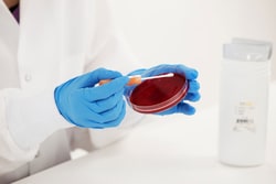 Microbiologics Candida tropicalis ATCC 1369 Quality Control Organism | Buy Online | Microbiologics&trade; | Fisher Scientific