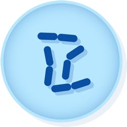 Microbiologics Epower Salmonella enterica subsp. enterica serovar Typhimurium