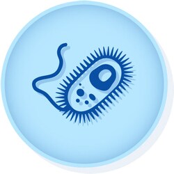 Microbiologics™ <i>Escherichia coli</i> ATCC™ 11229™†