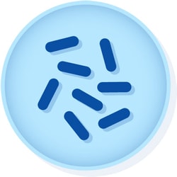 Microbiologics™ <i>Bacillus cereus</i> ATCC™ 10876 EZ-Accu Shot™ Kit†