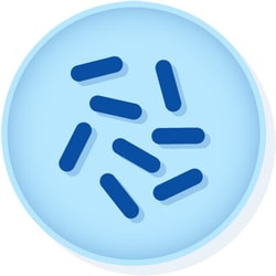 Microbiologics™ <i>Listeria monocytogenes</i> ATCC™ 19112™†