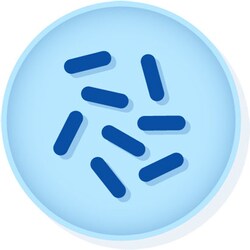 Microbiologics™ <i>Citrobacter braakii</i> ATCC™ 43162™†