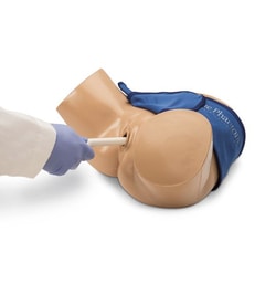 Nasco Blue Phantom Female Pelvis for Intrauterine Pregnancy