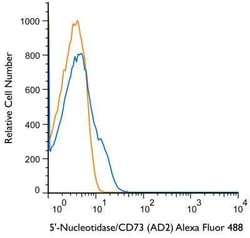 5'-Nucleotidase/CD73 Antibody (AD2), Alexa Fluor 488, Novus Biologicals