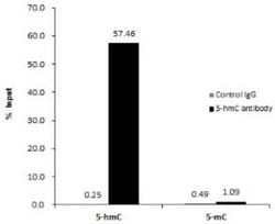 5-hmC Antibody (513), Novus Biologicals 0.1 mL, Unconjugated:Antibodies,