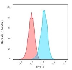 CD20 Antibody (IGEL/1497R), Novus Biologicals:Antibodies:Primary Antibodies