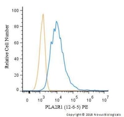 PLA2R1 Antibody (12-6-5) - BSA Free, Novus Biologicals 0.1 mL, Unconjugated:Antibodies,
