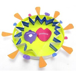 NewPath Learning™ Coronavirus COVID-19 Structure 3-D Model Kit
