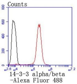 14-3-3 beta/alpha Antibody (SD0837), Novus Biologicals 100&mu;L:Antibodies,