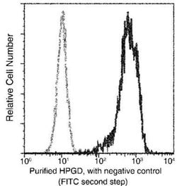 15-PGDH/HPGD Rabbit anti-Human, Clone: 16, Novus Biologicals 100 &mu;g;