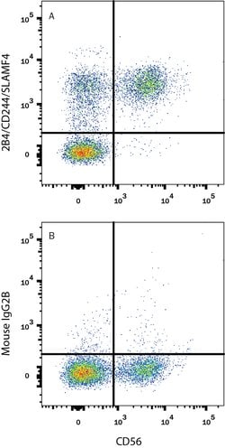 Human 2B4/CD244/SLAMF4 Antibody, R D Systems 100 &mu;g; Unconjugated:Antibodies,