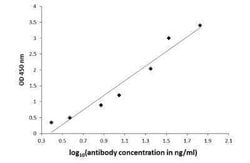 3-Methoxytyramine Antibody, Novus Biologicals 100 &mu;g | Buy Online | Novus Biologicals | Fisher Scientific