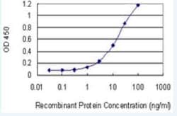5-HT1E Antibody (2E9), Novus Biologicals 0.1 mg | Buy Online | Novus Biologicals | Fisher Scientific