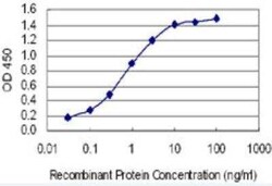 5-HT2B Antibody (4A4), Novus Biologicals 100 &mu;g;, Unconjugated:Antibodies,