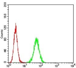 5-HT3A Antibody (4D5E7) - BSA Free, Novus Biologicals 0.1 ml; Unconjugated:Antibodies,