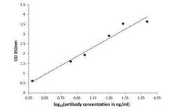 5-Hydroxytryptophan Antibody, Novus Biologicals 100 &mu;g | Buy Online | Novus Biologicals | Fisher Scientific