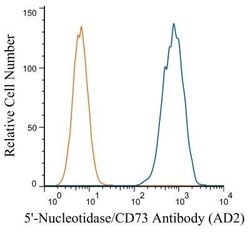 5'-Nucleotidase/CD73 Antibody (AD2) - Azide and BSA Free, Novus Biologicals 0.1 mL | Buy Online | Novus Biologicals | Fisher Scientific