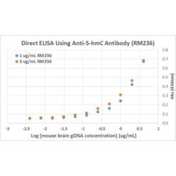 5-hmC Antibody (RM236), Novus Biologicals 50 &mu;g; Unconjugated:Antibodies,