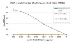 5-hmC Antibody (RM236), Novus Biologicals 50 &mu;g; Unconjugated:Antibodies,
