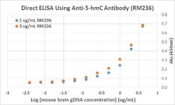 5-hmC Antibody (RM236), Novus Biologicals 50 &mu;g; Unconjugated:Antibodies,