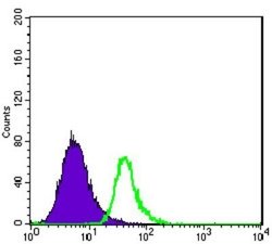ABCG2/CD338 Antibody (3G8) - Azide and BSA Free, Novus Biologicals 0.1