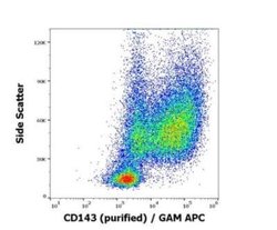 ACE/CD143 Antibody (5-369) - BSA Free, Novus Biologicals 0.1 mg | Buy Online | Novus Biologicals | Fisher Scientific