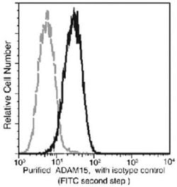 ADAM15 Rabbit anti-Human, Clone: 7, Novus Biologicals 50 &mu;g; Unconjugated:Antibodies,
