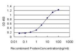 ADAMDEC1 Antibody (6C4), Novus Biologicals 0.1 mg; Unconjugated:Antibodies,