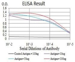 ADAMTS1 Antibody (1C12E6) - BSA Free, Novus Biologicals 0.1 ml; Unconjugated:Antibodies,