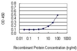 ADAMTS3 Antibody (1D6), Novus Biologicals 50 &mu;g | Buy Online | Novus Biologicals | Fisher Scientific