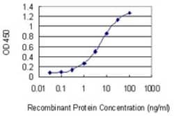 ADSSL1 Antibody (2D12), Novus Biologicals 0.1 mg | Buy Online | Novus Biologicals | Fisher Scientific