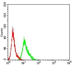 AEBP2 Antibody (2D7B6) - BSA Free, Novus Biologicals 0.1 ml; Unconjugated:Antibodies,