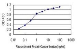 AHNAK Antibody (3G7), Novus Biologicals 0.1 mg; Unconjugated:Antibodies,