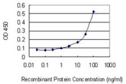 AHSA1 Antibody (4F3-B6), Novus Biologicals 0.1 mg | Buy Online | Novus Biologicals | Fisher Scientific