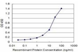 AKT2 Antibody (1D9), Novus Biologicals 0.1 mg | Buy Online | Novus Biologicals | Fisher Scientific