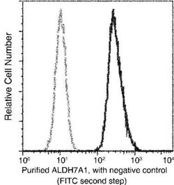 ALDH7A1 Rabbit anti-Human, Clone: 101, Novus Biologicals:Antibodies:Primary