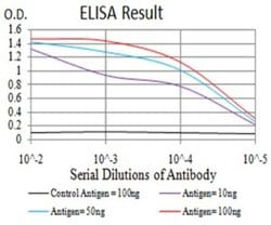 ALK/CD246 Antibody (7A11A4) - BSA Free, Novus Biologicals 0.1 ml; Unconjugated:Antibodies,