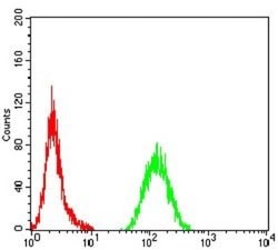 ALK/CD246 Antibody (7A11A4) - BSA Free, Novus Biologicals 0.1 ml; Unconjugated:Antibodies,